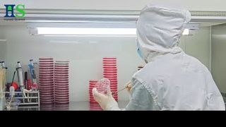 ซีรีส์เมมเบรนเปลือกไข่ ELASEM®: โซลูชันวัตถุดิบเพื่อสุขภาพและความงามของข้อต่อ