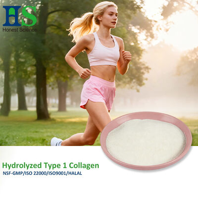 Type I Hydrolyzed Collagen Powder Bovine Marine Source Easy Absorption For Nutraceutical Cosmetic Raw Material