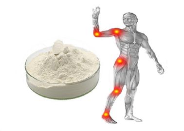 White Powder Shark Chondroitin Sulfate EP 95% การดูแลร่วมกับ GMP / DMF